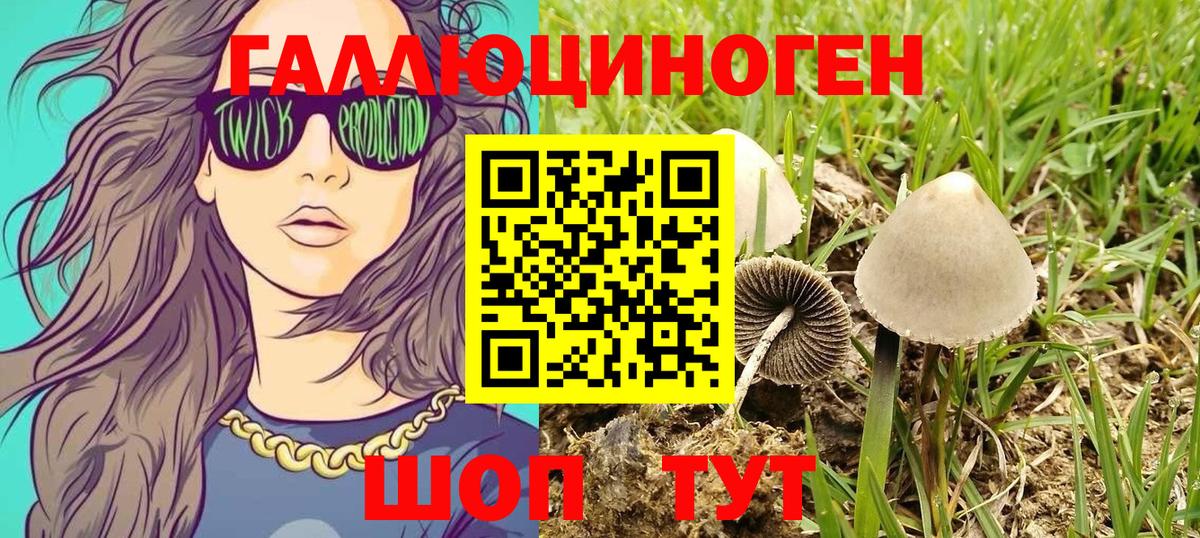 Киржач  Псилоцибиновые грибы мухоморы  Галлюциногенные грибы Cubensis  Вход с VPN 